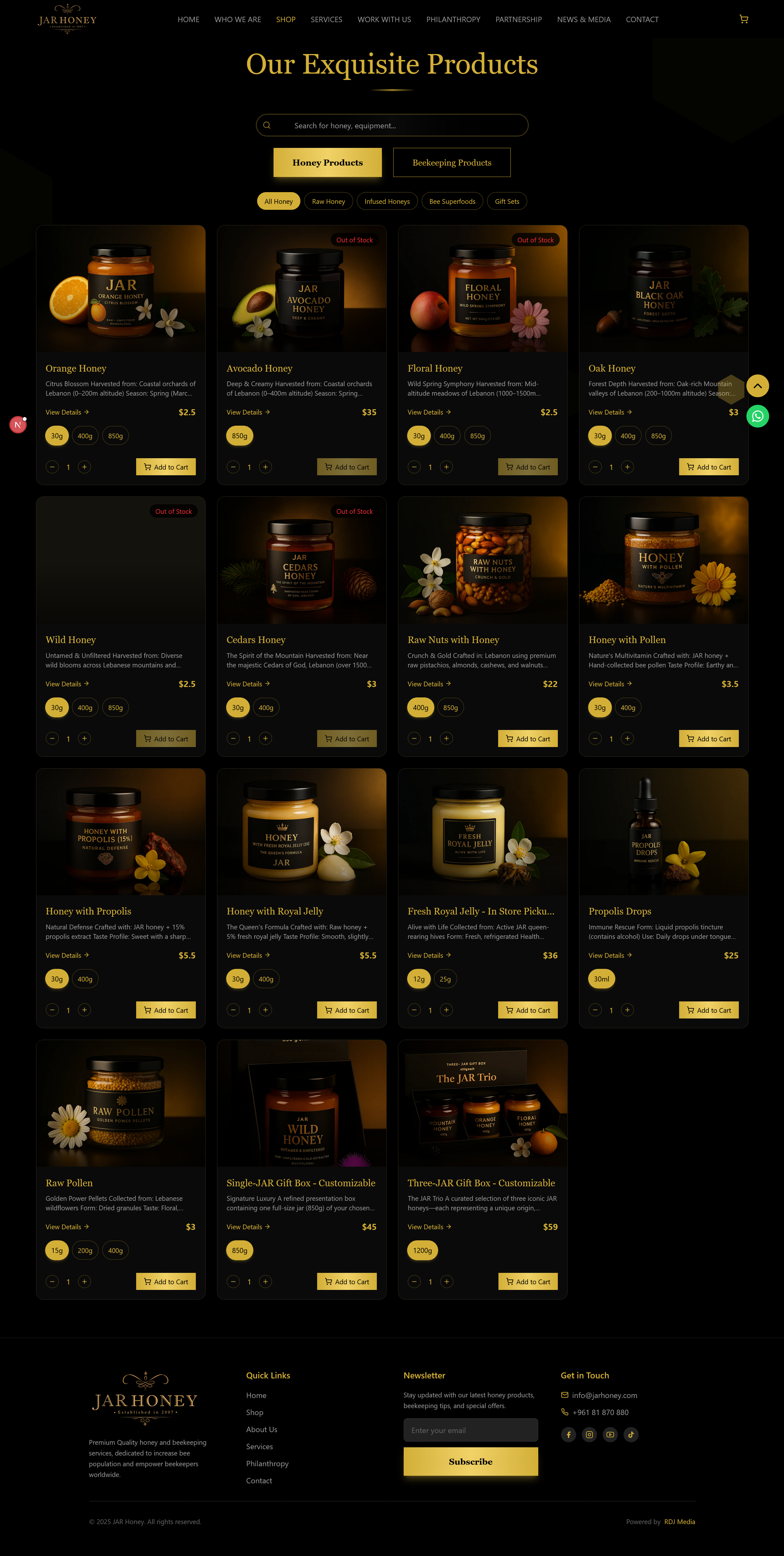 Project interface thumbnail 4